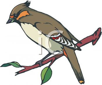 Cardinal Clipart