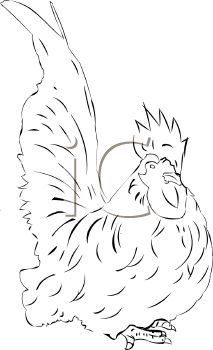 Chicken Clipart