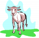 Cow Clipart