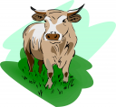 Cow Clipart