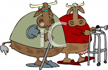 Cow Clipart