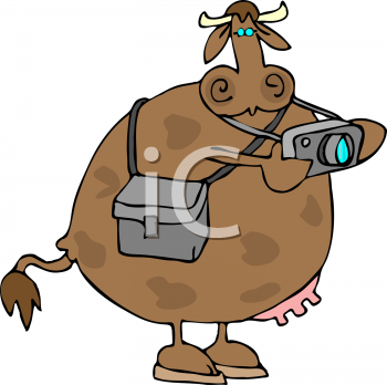 Cow Clipart