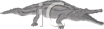 Crocodile Clipart