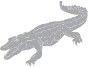 Crocodile Clipart