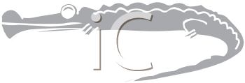Crocodile Clipart