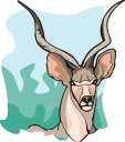 Deer Clipart