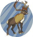 Deer Clipart