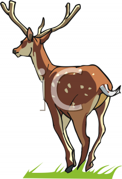 Deer Clipart