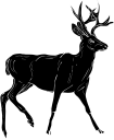 Deer Clipart