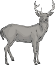 Deer Clipart