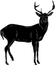 Deer Clipart