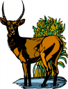 Deer Clipart