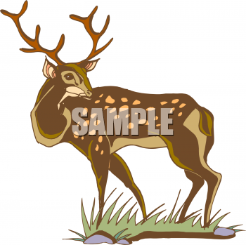 Deer Clipart