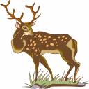 Deer Clipart