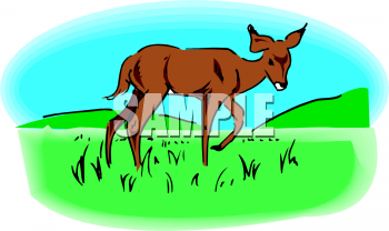 Deer Clipart