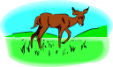 Deer Clipart