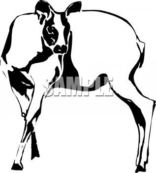Deer Clipart