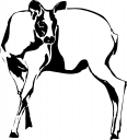 Deer Clipart