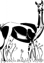 Deer Clipart