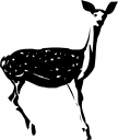 Deer Clipart