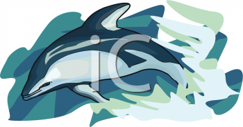 Dolphin Clipart