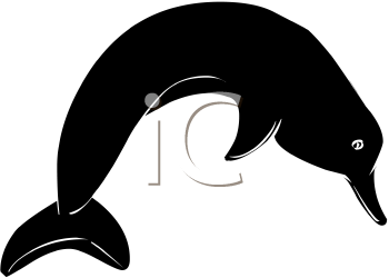 Dolphin Clipart