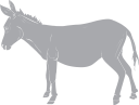 Donkey Clipart