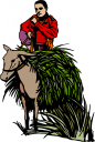 Donkey Clipart