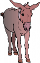 Donkey Clipart