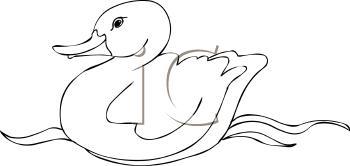 Duck Clipart