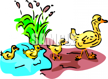 Duck Clipart