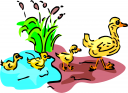Duck Clipart