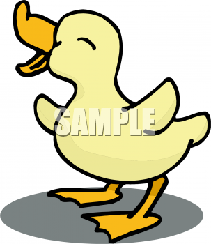 Duck Clipart