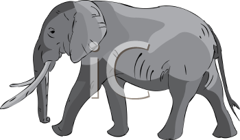 Elephant Clipart