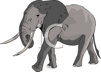 Elephant Clipart