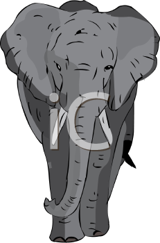 Elephant Clipart