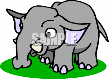 Elephant Clipart