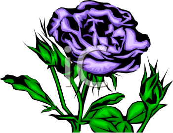 Rose Clipart