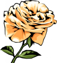 Rose Clipart