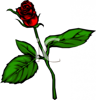 Rose Clipart