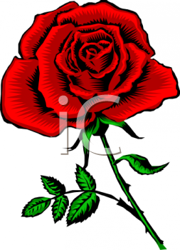 Rose Clipart