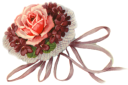 Rose Clipart