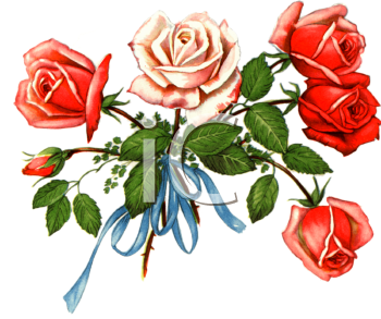 Rose Clipart