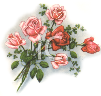 Rose Clipart