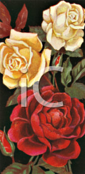 Rose Clipart