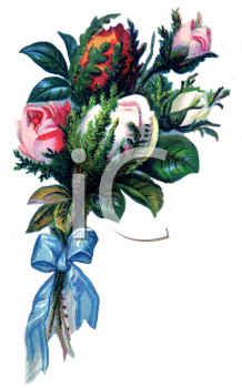 Rose Clipart