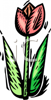 Rose Clipart