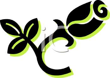 Rose Clipart