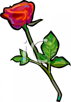 Rose Clipart