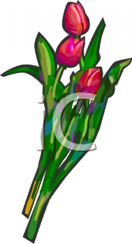 Rose Clipart